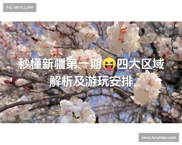 2025年度全球网球赛事全面安排与重要比赛时间表解析 2025年度全球网球赛事全面安排与重要比赛时间表解析