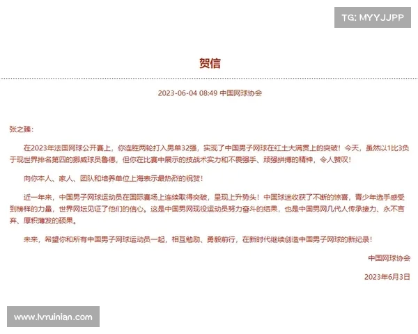 网球比赛门票价格分析:从普通票到VIP票的价格差异及其影响因素 网球比赛门票价格分析:从普通票到VIP票的价格差异及其影响因素